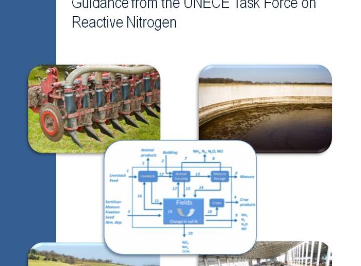 Options for Ammonia Mitigation report cover